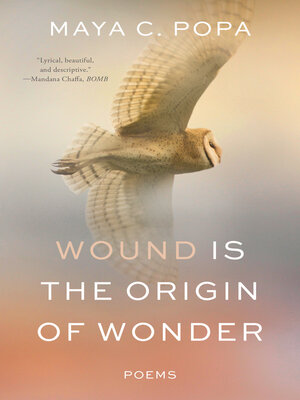 Wound Is the Origin of Wonder - ebook